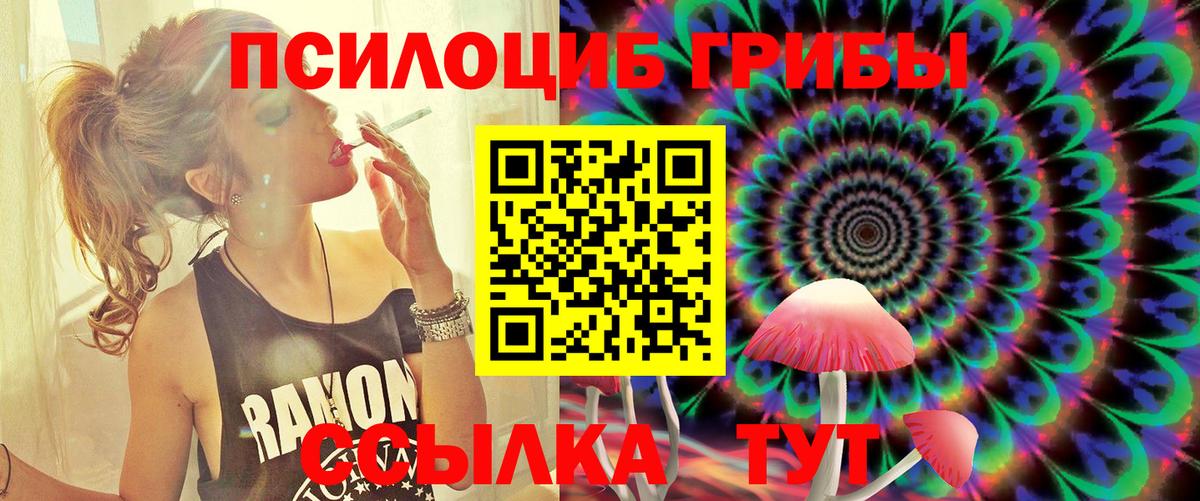 закладка  Псилоцибиновые грибы MAGIC MUSHROOMS  Вход с VPN  Пенза 